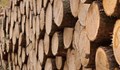 В Румъния поставиха таван на цената на дървата за огрев