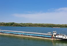 За ръста на цените спомага и неочаквано появилият се експорт на