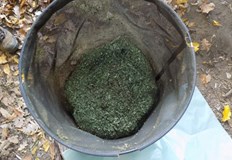 На място са били намерени и близо 18 килограма марихуана