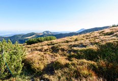 Времето ще е топло за втората половина на октомвриДнес ще