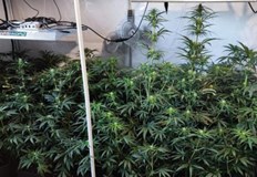 При обиска полицаите са открили 10 буркана със суха тревиста