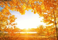 През цялата следваща седмица ще има много слънце В социалните мрежи