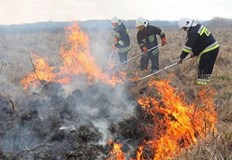 В осем от случаите огнеборците са гасили запалвания на сухи
