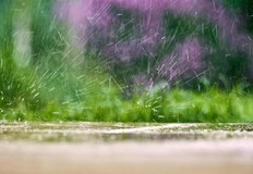 Максималните температури ще са до 22 24 градусаДенят ще