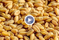 Киев и Москва са сред най големите производители в светаООН е