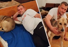 Фернада днес отива на ветеринар Запознайте се с Фернада това куче