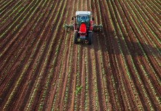 Заявленията ще се подават в общинската служба по земеделие към