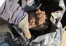 В РУ  Ветово са образувани две преписки във връзка с