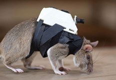 Гризачите носят раница която е оборудвана с видеокамера двупосочен микрофон