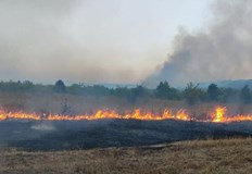 Горят основно сухи треви и ниска растителностПожар е избухнал в