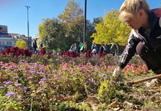 Служителите на Паркстрой обновяват централните градинки Раждането на новите есенни килими