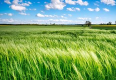 Териториалният офис в Русе на Националната служба за съвети в