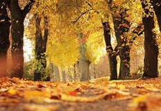 Във вторник предстои да наблюдаваме частично слънчево затъмнениеПредстоят слънчеви и приветливи