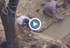 За допуснатото умишлено увреждане е изпратен сигнал и до Софийска