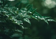 Днес облачността ще е променливаСамо на отделни места ще превали