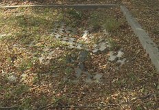 Русенци паркират на забранени места с риск да ги глобятЗа пропаднали