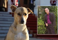 В социалните мрежи се появи и колаж който събра стотици