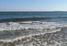 С риск за собствения си живот 19 годишните младежи са се