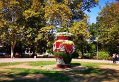 Стартът на спортното събитие ще бъде даден в 11 00 часа до