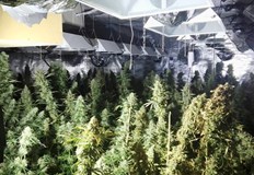 Бандити наемат жилища в панелки за да не ги хванат