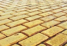 Експерти от България и чужбина ще решават как да се