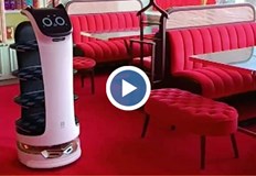 Запознайте се с чаровната Белла тя никога не обърква