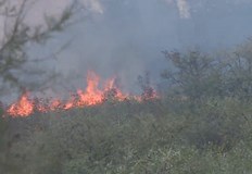 Вятърът постоянно го прехвърля на нови площиПожарът между варненските села