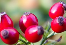 Какви температури ни очакват през почивните дни Предстоящите почивни дни ще