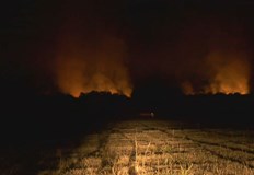 Пожарът е овладян от 4 екипа на пожарнатаОвладян е пожарът