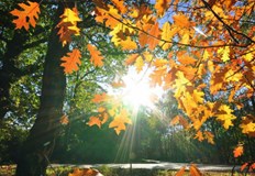 Какви температури да очакваме през следващите дни и има ли