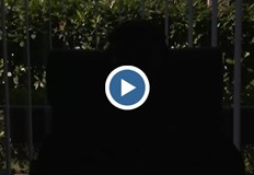 Едно пробване може да коства целия ни животПо официални данни