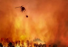 Пламъците бързо са обхванали голяма площГолям горски пожар се разрази