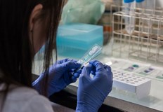 Бактериите преминават през стените на кръвоносните съдове и колонизират тумораИзследователи от Швейцария