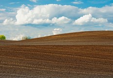 Най скъпи са нивите в Добрич а тези в Шумен поевтинявахаКраят