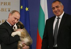 Картината е нарисувана от петербургския художник Алексей СергиенкоЛюбовта им не