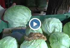 Много българи започнаха да пътуват до северната ни съседка на