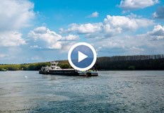 Основната причина за това са ниските води и войната в