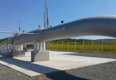 На борсата в Нидерландия дневната цена спадна с 12 55 евро