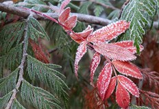 През нощта ще бъде ясно и почти тихоМинималните температури ще бъдат