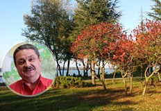 След Димитровден можем да очакваме циганското лято Времето остава слънчево и