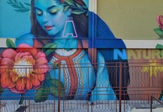 Творбата обхваща стена с размери 20 на 8 метраРисунка на