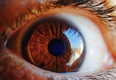 Иновативният материал имитира стъкловидното тяло на окотоСингапурски учени са разработили биофункционален термогел