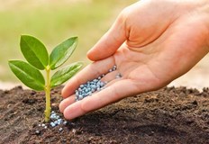 Кристалните торове ще ви помогнат да отгледате здрави растения и