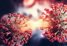 Русенският регион е на девето място по брой направени имунизацииБлизо