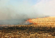 За изтеклото денонощие екипите на дирекцията са реагирали на три