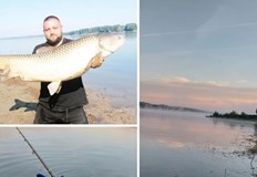 Дунав не е неговото родно място той е изкуствено разселен