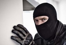 Апашът е умъртвил кучето на стопанинаВчера сутринта в РУ Бяла