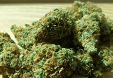 Планът ще гарантира контрол на качеството като същевременно защитава младите