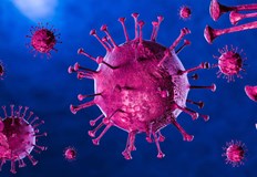 Направени са 6808 теста като делът на положителните резултати е 11 55