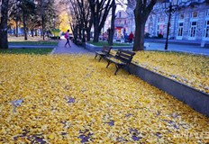 От четвъртък до неделя ще бъде слънчево и топлоПрез първия ден